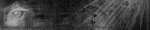 Shadows copy.jpg