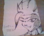 Picture 002.jpg