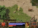 SCREEN0040.JPG