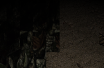 QbOZAEZ.png
