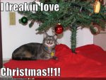 Merry-Christmas-Funny4.jpg