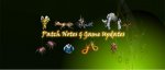 patch-notes-banner-template-horsplit-1-1024x432.jpg