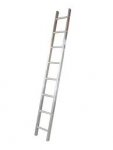 ladder.jpg