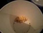 Popcorn_1.jpg