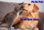 boop-1.jpg