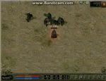 58.gif