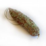 french-dried-cured-saucisson-with-blue-cheese-of-roquefort.jpg