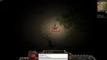 bug.jpg
