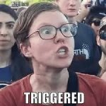Triggered.jpg
