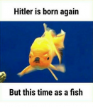 112312312.png