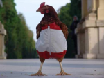 1580306176314.png