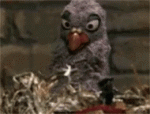 1596910452678.gif