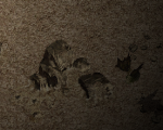 1612048670075.png