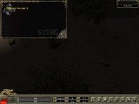 SCREEN0007.JPG