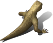 03253.PNG