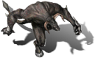 00110.png