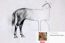 horse(1).jpg