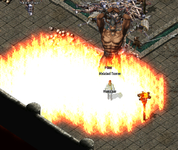 ZT.png