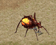 AQ.png