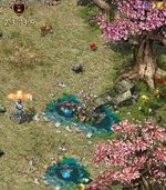 landofpeace3.jpg