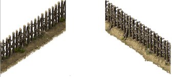 lomcn.jpg