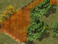 1630778459429.png