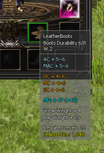 leatherboots.png