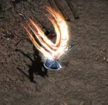 1641468674331.png