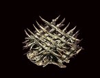 1647166343134.png 1647166343134.png