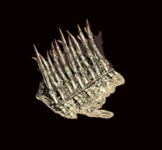 1647167370412.png 1647167370412.png