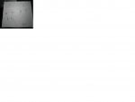 script 4.JPG