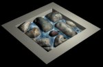 Stonepool1.JPG