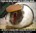Untitled-1.gif