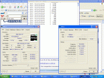 Untitled-3.gif