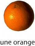 orange.JPG