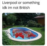liver.jpg