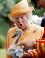 queen.jpg