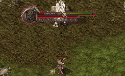 PheonixExplosion Wizard Skill.gif