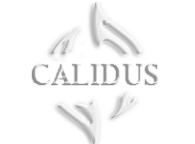Calidus-Archlord-AD-html-5b50cbdf.png