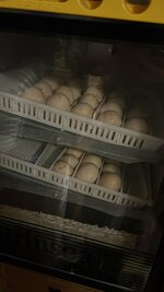 2261CF63-C809-4C86-B127-B437E395DF37.jpeg