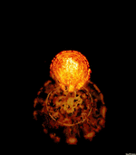 1682212092726.gif