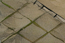 1682225344540.png