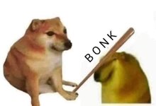 doge-bonk (1).jpg