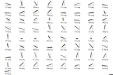 Snipaste_2025-01-13_12-56-12.png