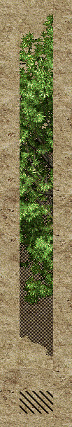 1737447651133.png