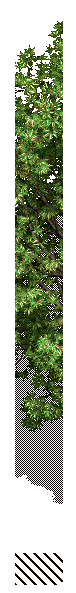 1737448009697.png