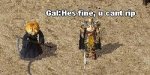 Pumpkin Ingame.jpg