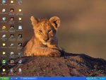 desktop.JPG
