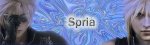 Siggy.jpg