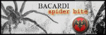 spider.gif